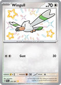 Wingull 203/091  - Holofoil