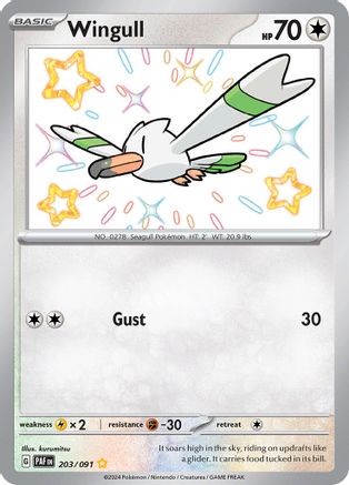 Wingull 203/091  - Holofoil