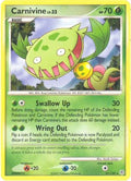 Carnivine 021  - Reverse Holofoil