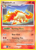 Rapidash 022