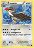 Staraptor 097